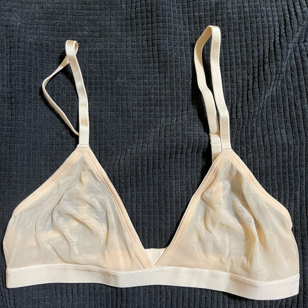 Parade Mesh Triangle Bralette